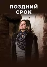 Поздний срок (сериал 2019)